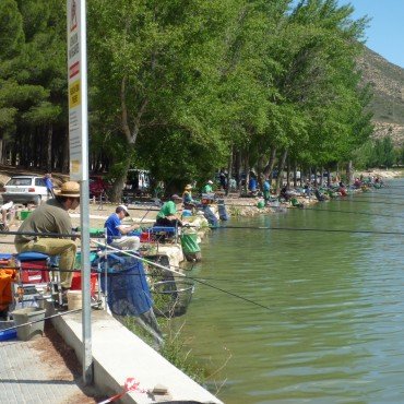 Donde comprar viagra en zaragoza sin receta