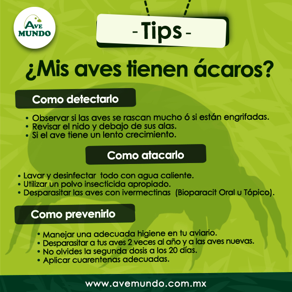 Ivermectina Tópica Comprar Ivermectina Tópica Comprar