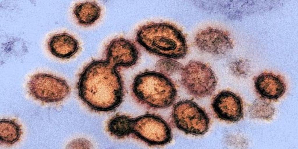 ivermectina 3 mg españa