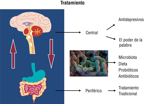 trimebutina diazepam precio