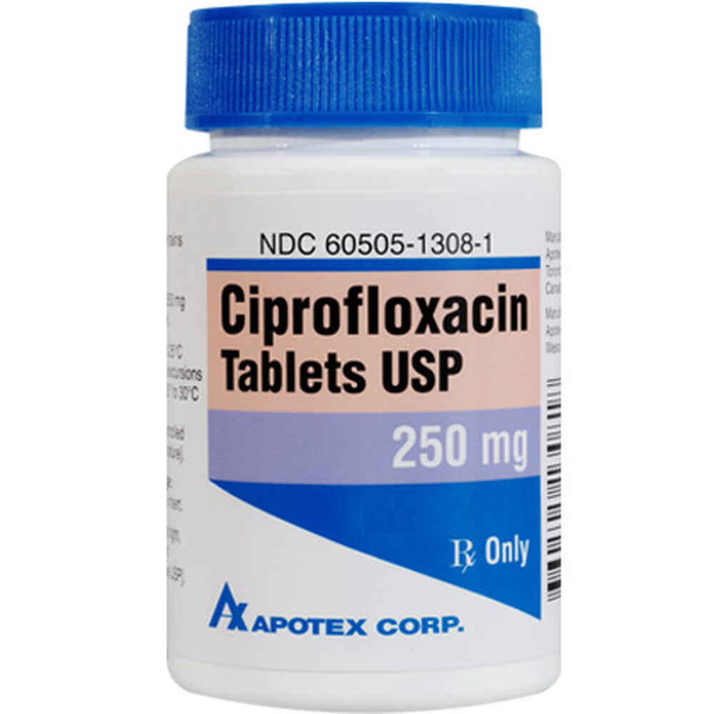 Cipro On Line Cipro On Line