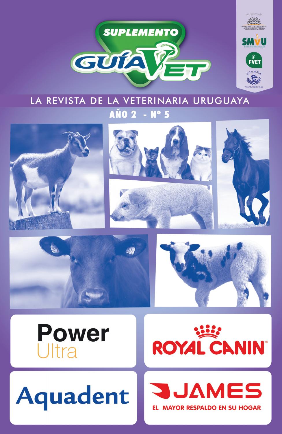 Ivermectina Comprar Bifarma