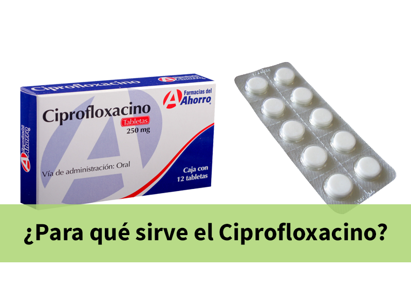 Cómo Comprar Cipro Cómo comprar cipro
