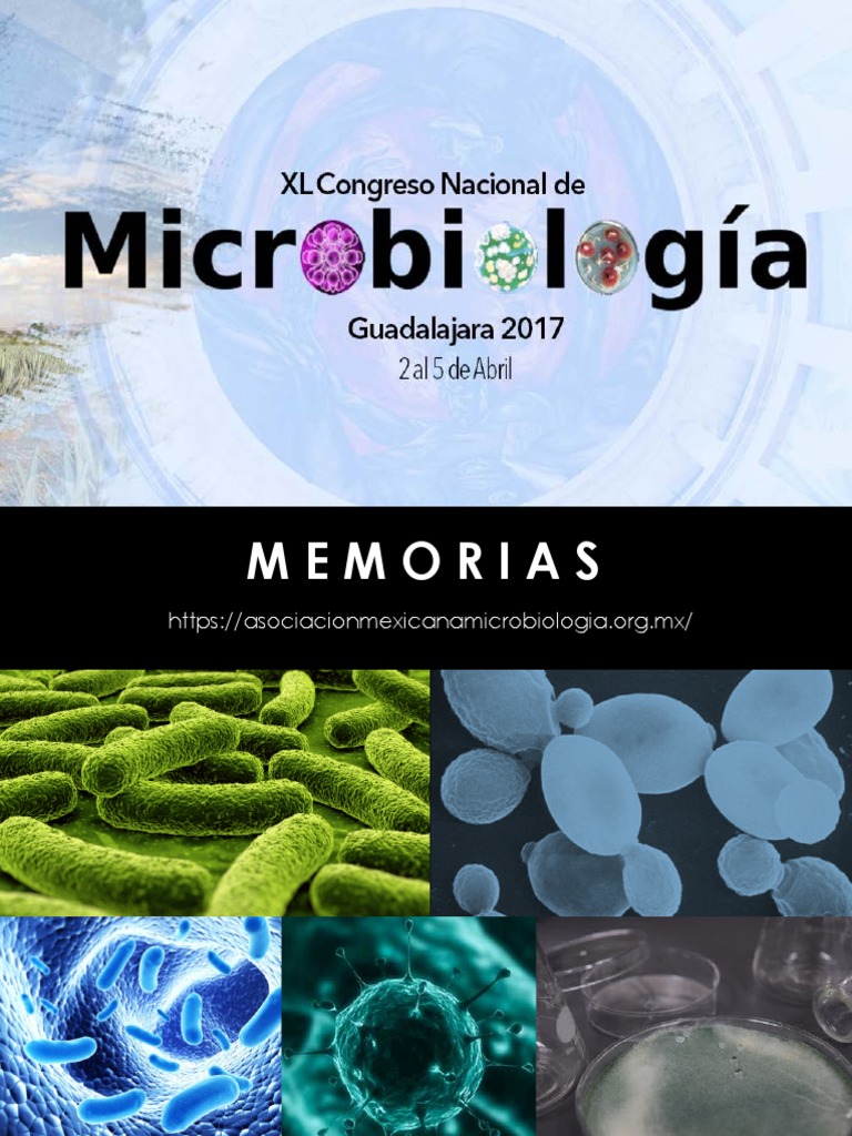 Azithromycin traducción en español