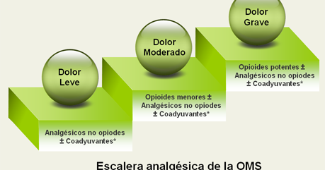 palexia capsulas