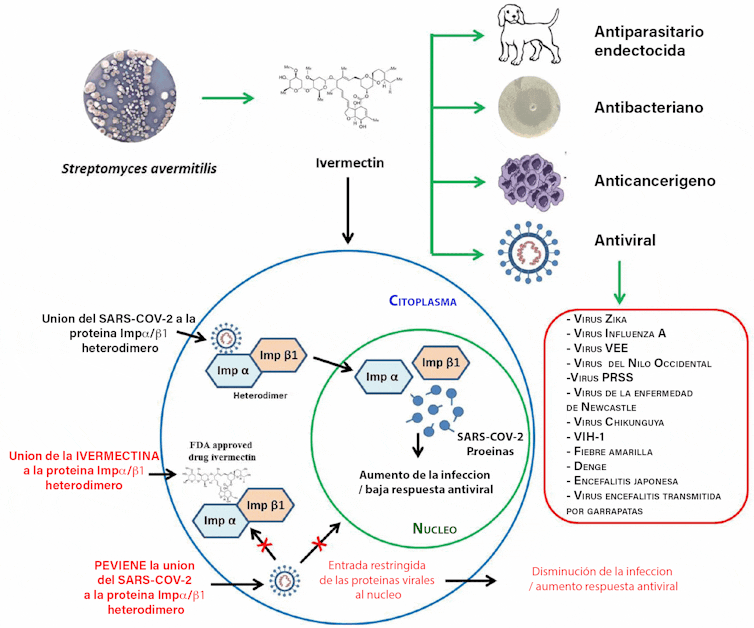 compra de ivermectin