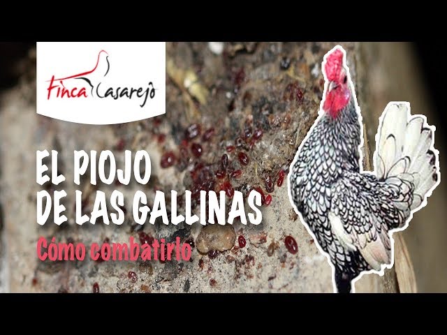 Comprar Ivermectina Gallinas
