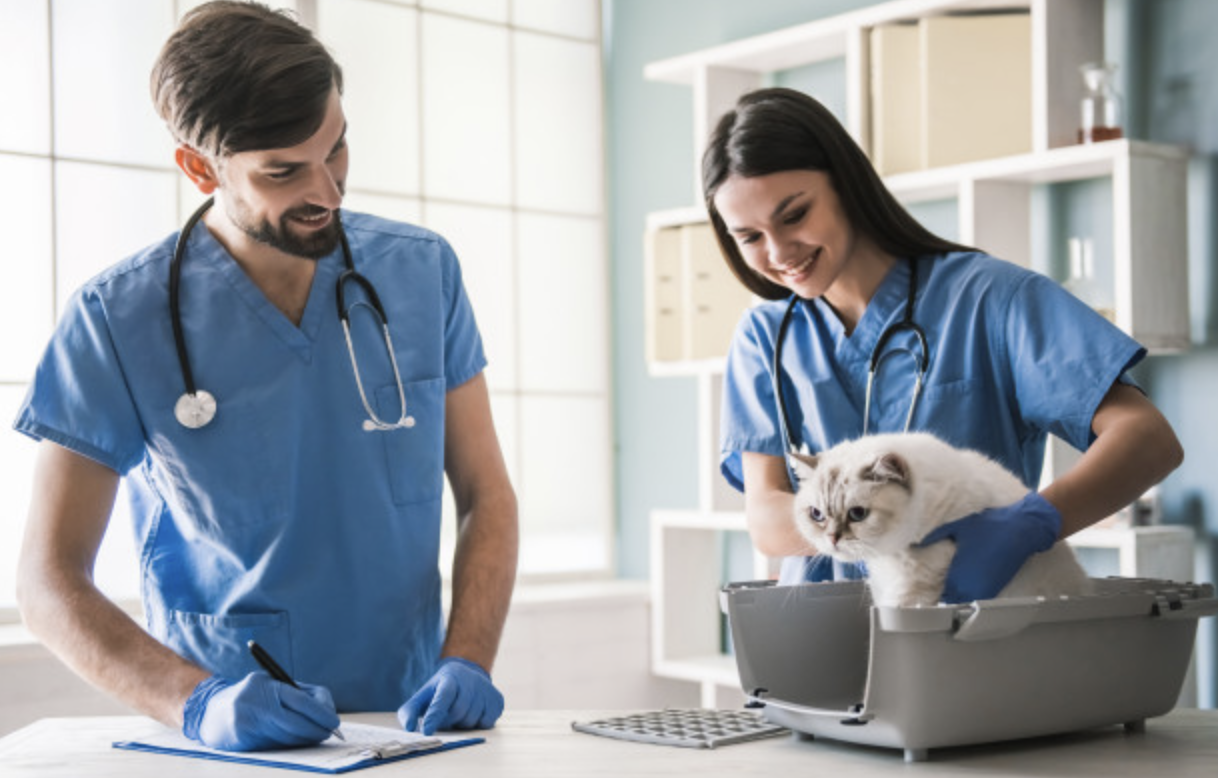tramadol veterinario pastillas