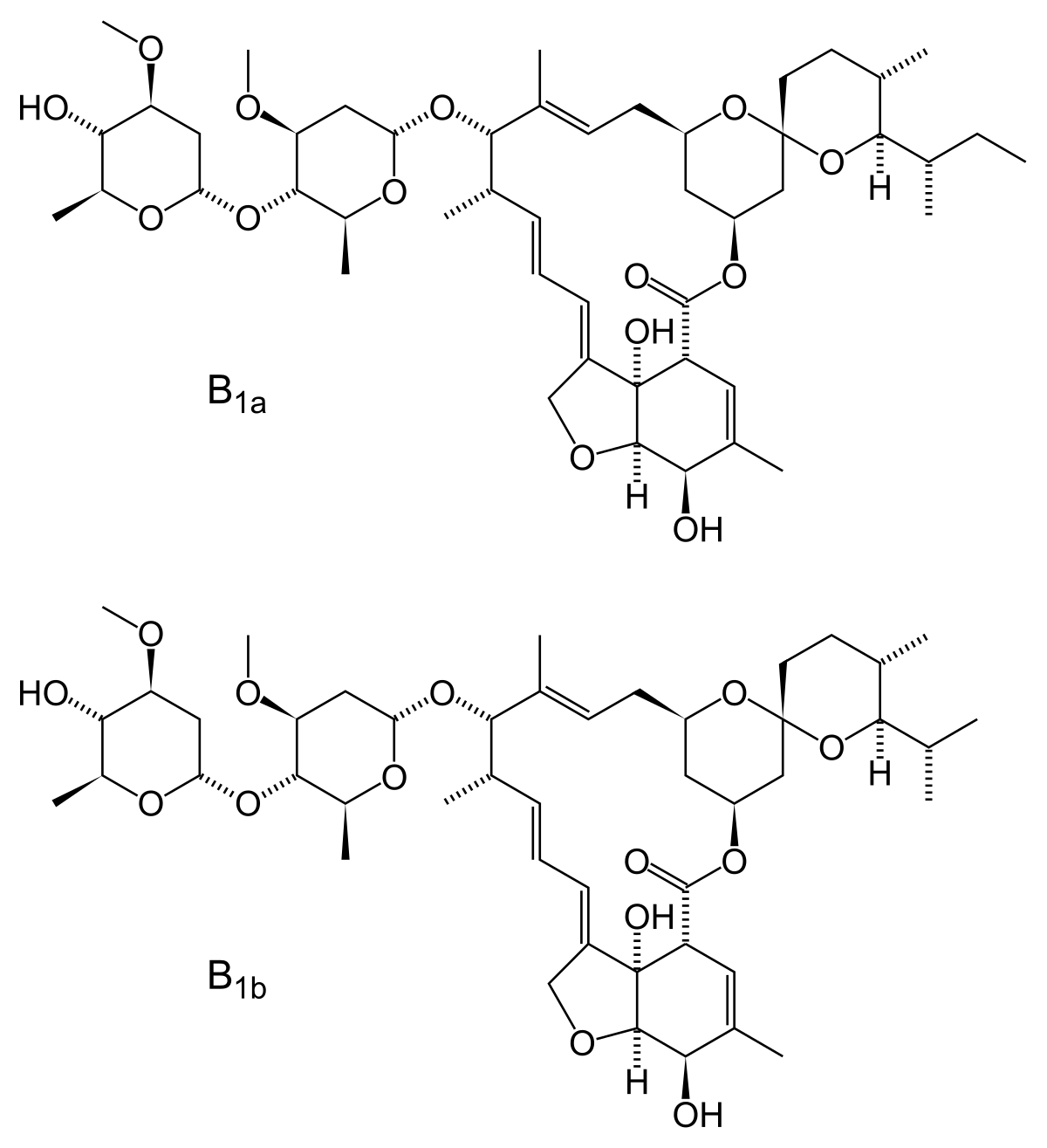 iver p ivermectin 6 mg Iver p ivermectin 6 mg
