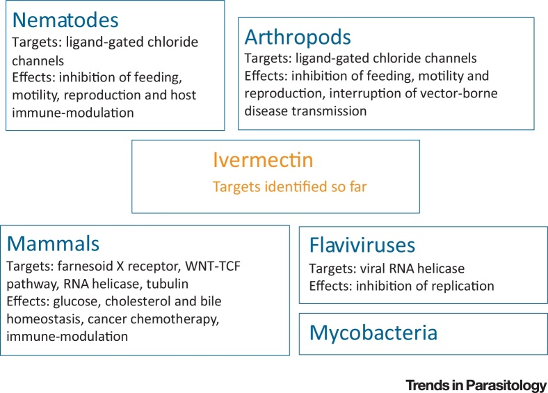Ivermectin online europe