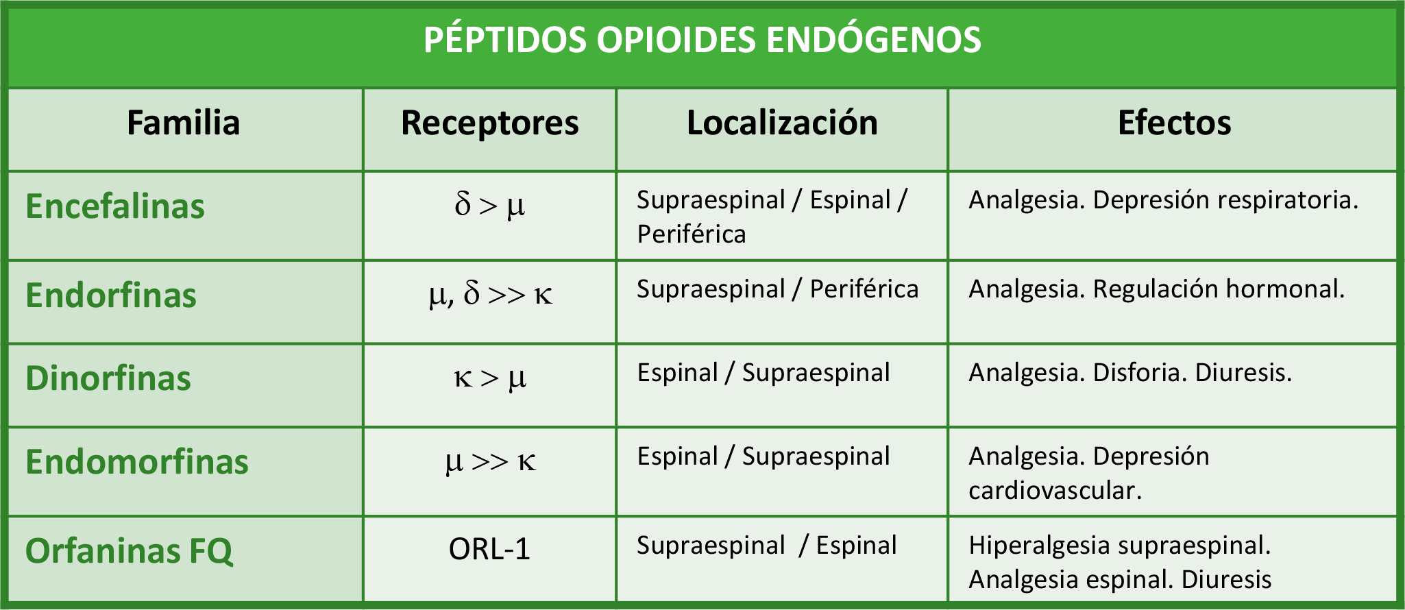 Palexia en línea