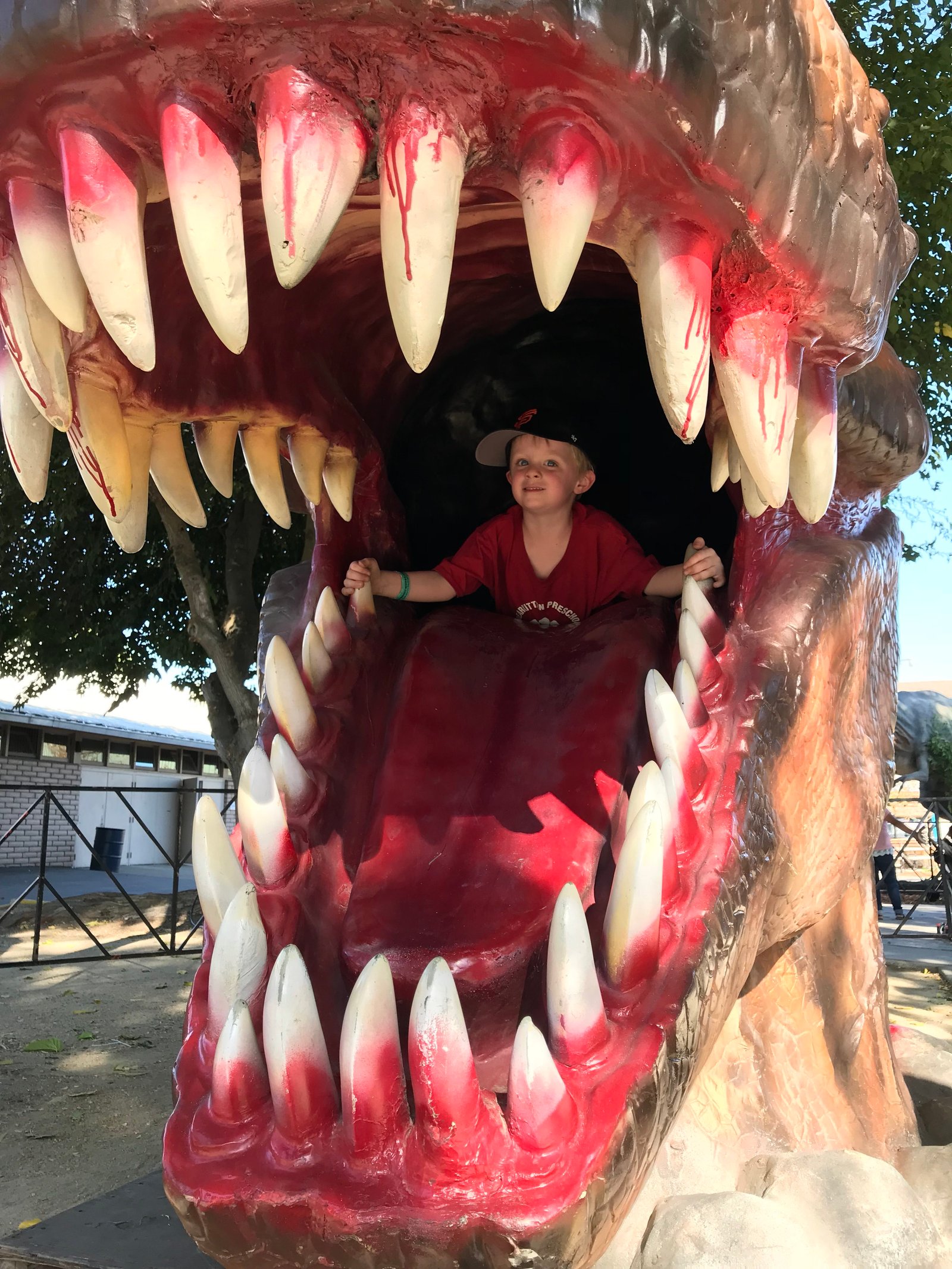 pastilla sildenafil raven