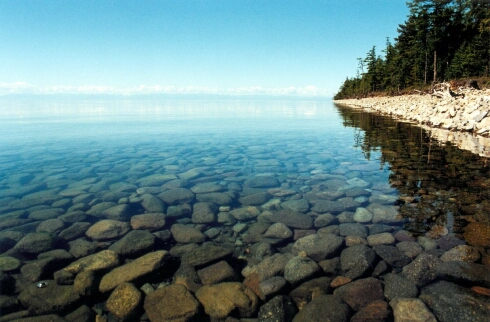 Penegra Donde Comprar