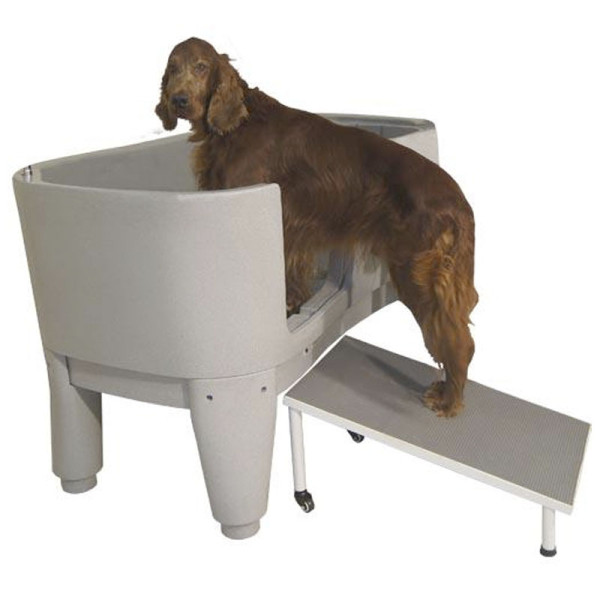 Precio ivermectina perros