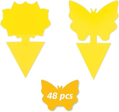 Super p-force en el mostrador